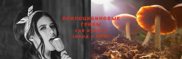 прущие грибы Орск