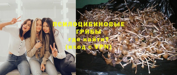 стафф Ладушкин