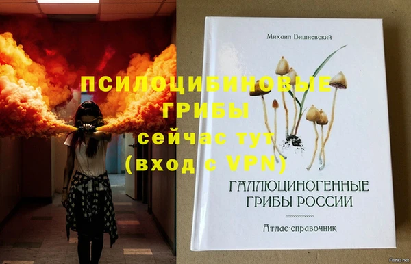 эйфоретик Лагань