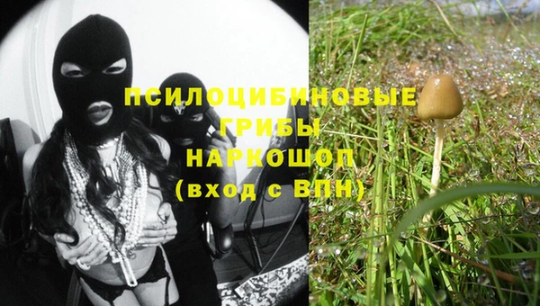 стафф Ладушкин