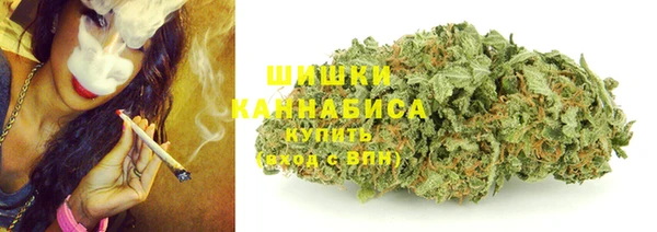 стафф Ладушкин