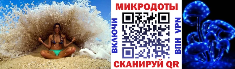 Галлюциногенные грибы Psilocybine cubensis  Елабуга 