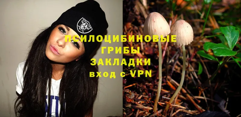 закладка  Елабуга  Псилоцибиновые грибы Magic Shrooms 