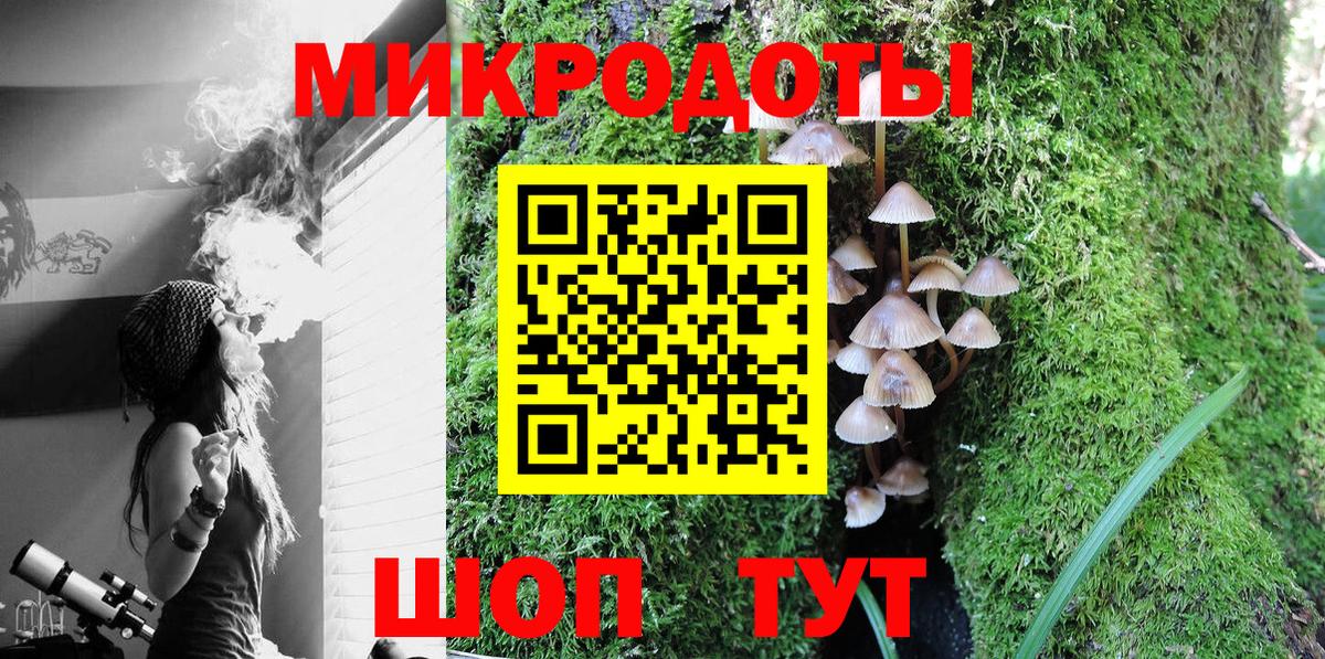Галлюциногенные грибы мицелий Елабуга