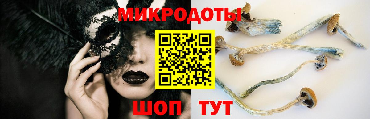 где продают наркотики  Галлюциногенные грибы ЛСД  Елабуга  Псилоцибиновые грибы Cubensis 